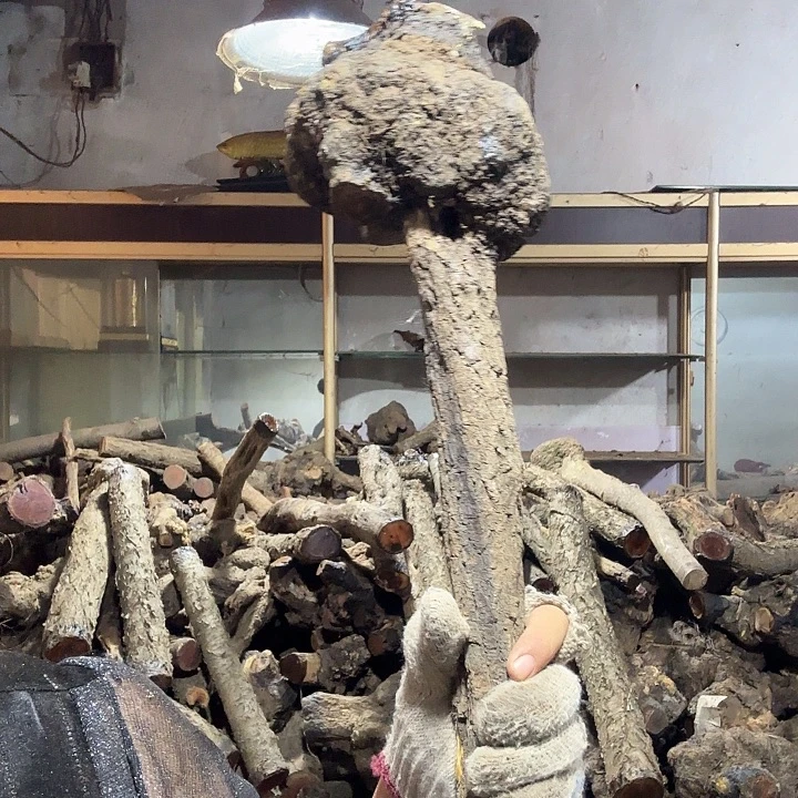 森***饮火琉璃的故事是什么呢