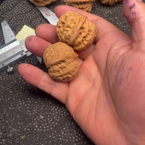 文玩核桃把件元宝10