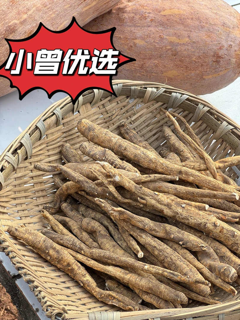 【小曾优选】四川-土当归