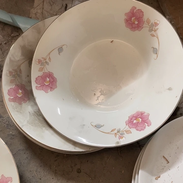 杯真*美瑕疵明显一枝花3个