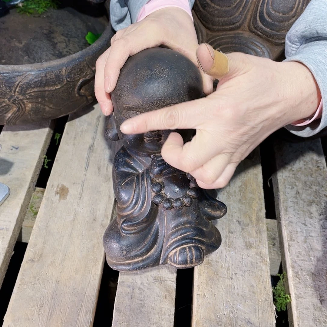 复合花盆里栽松了一棵y-009