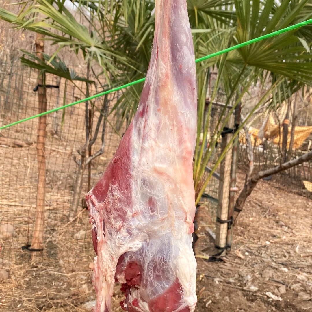 农家散养新带骨羊肉新鲜绵羊肉 3斤5斤10斤装 现宰现杀次日达羊肉同城送
