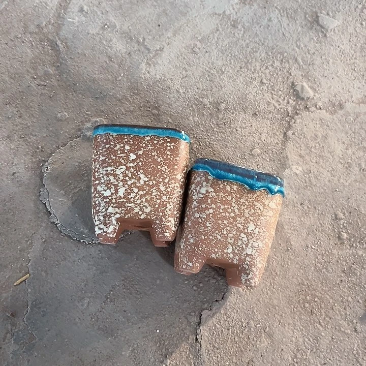 花盆花盆花盆花色跑得快