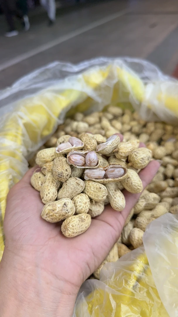 陆丰花生水煮花生