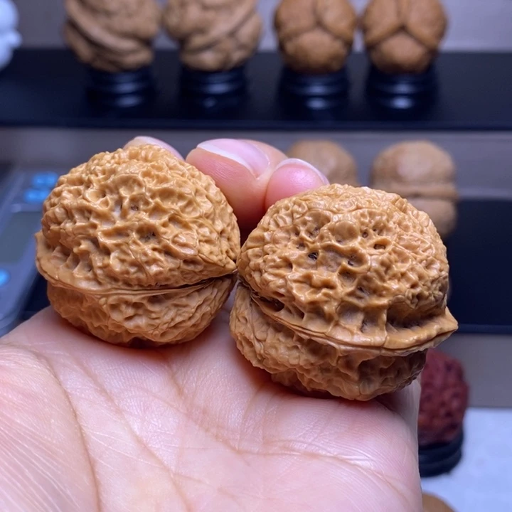 把件文玩核桃火凤金蟾21