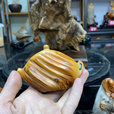 柏木柘*太行崖柏根雕