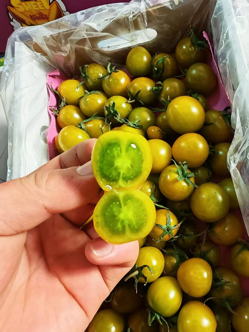 青甜2号小番茄绿色圣女果酸甜爆汁新鲜现摘水果