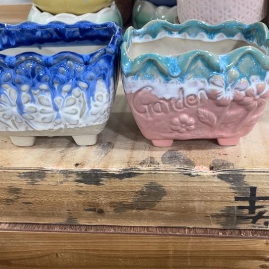 边播会边给你找盆的，耐心看几分钟谢谢，福袋先参与一下