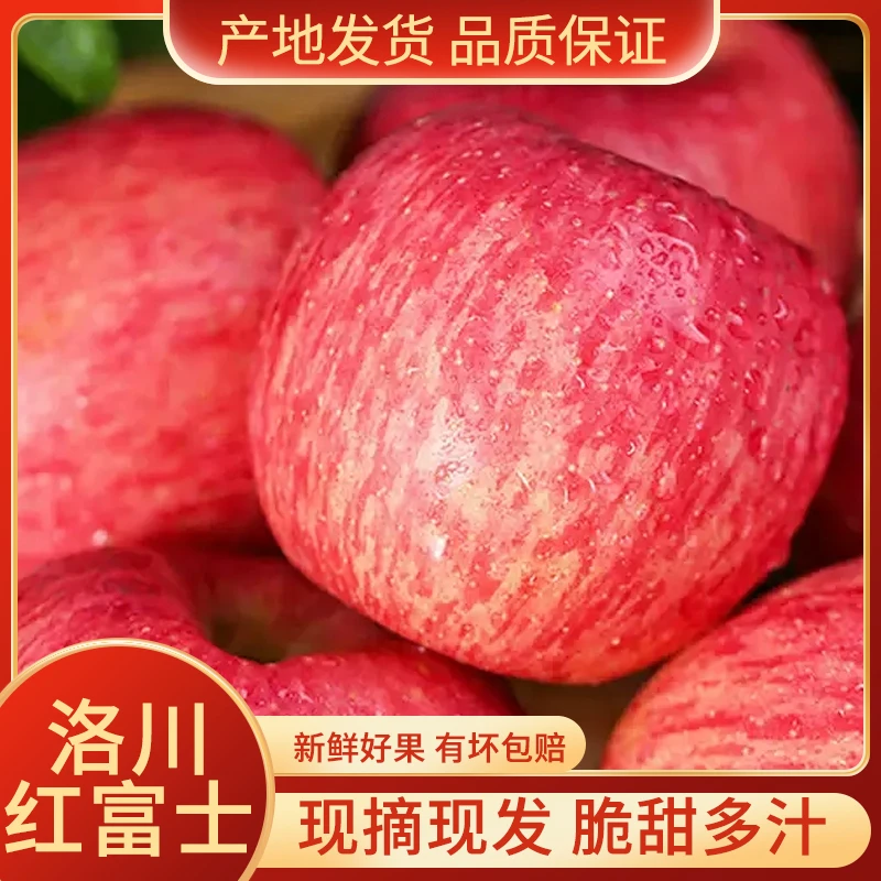 【坏果包赔】正宗陕西洛川红富士苹果