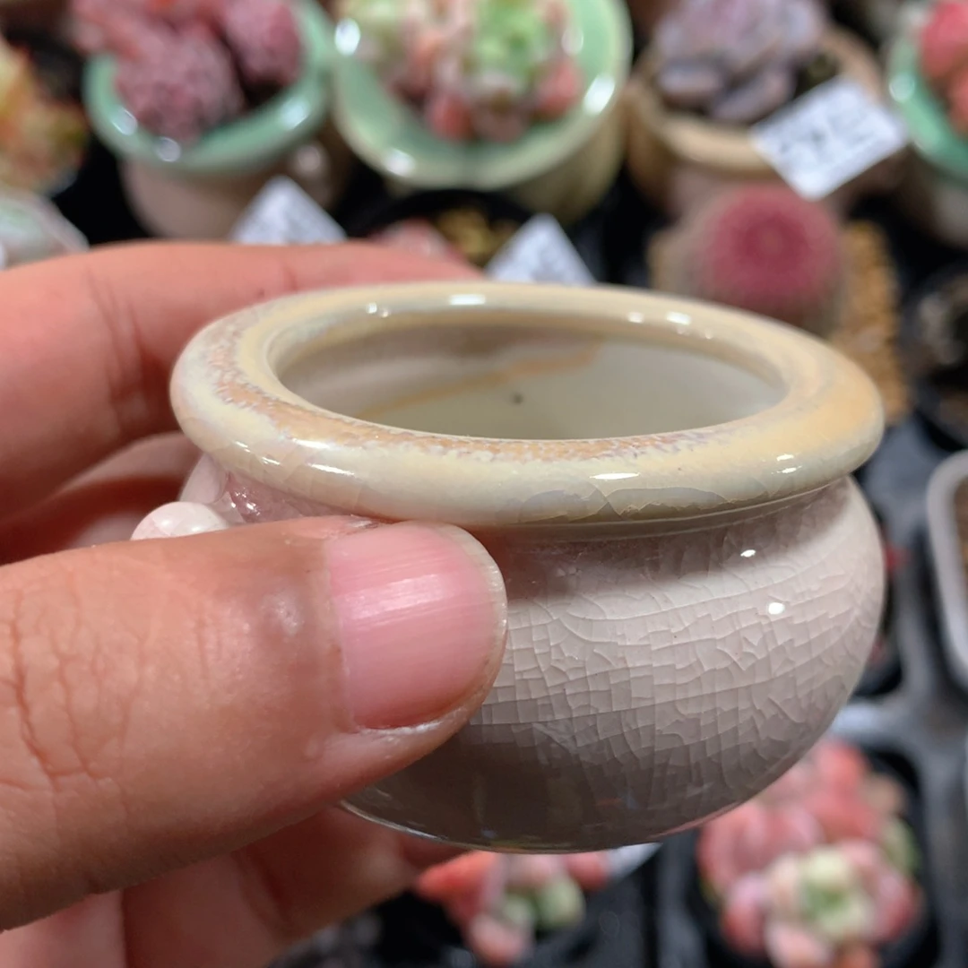 5CM拇指盆精控多肉ZB盆盆盆