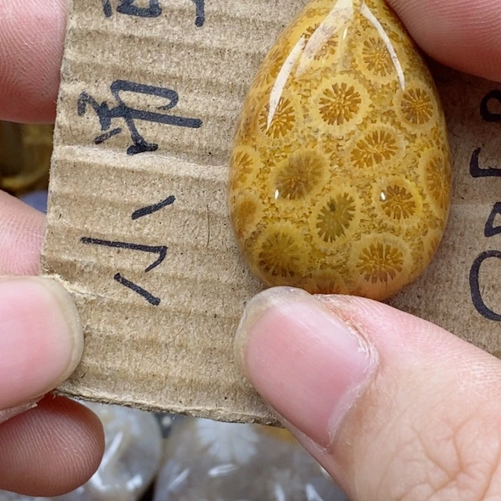 颈饰未镶嵌硅化珊瑚（珊瑚玉）另**蓝