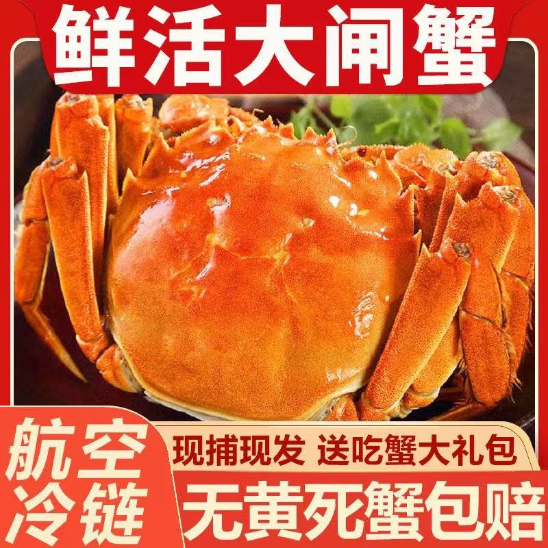 日日鲜鲜森【活蟹现发】江苏湖水大闸蟹 全母蟹 2.5两 8+2只 10只 礼盒 顺丰 江苏原产地