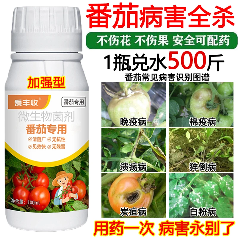 番茄病菌清番茄杀菌剂微生物肥料溃疡病晚疫病棉疫病番茄病全治