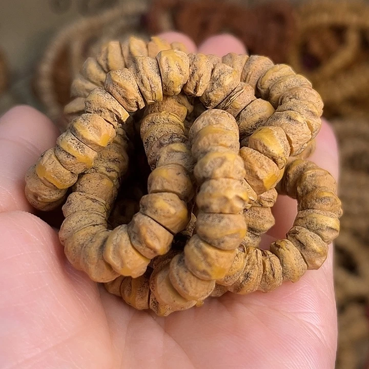 柏香籽/百香籽吊坠柏噶之王