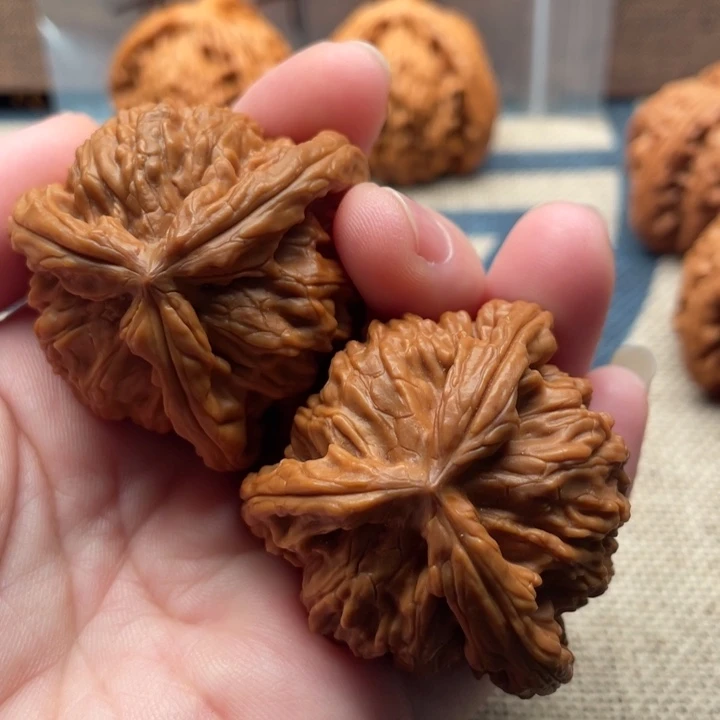 宝***宝核桃白狮子41核桃