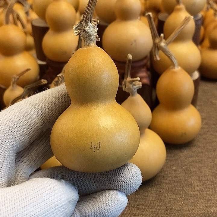 文玩葫芦 完美主义者 慎拍40