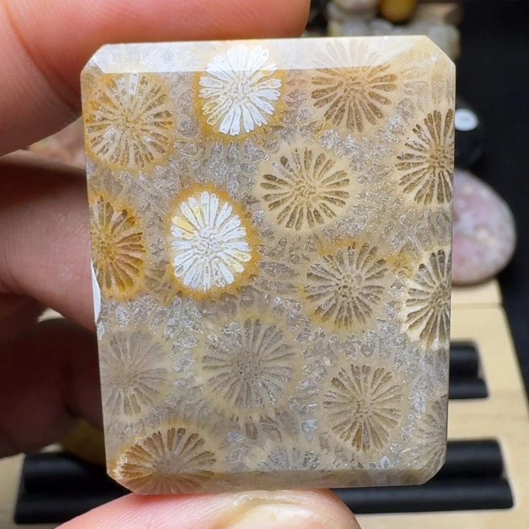 硅化玉未镶嵌纯天然色有机玉石保真色