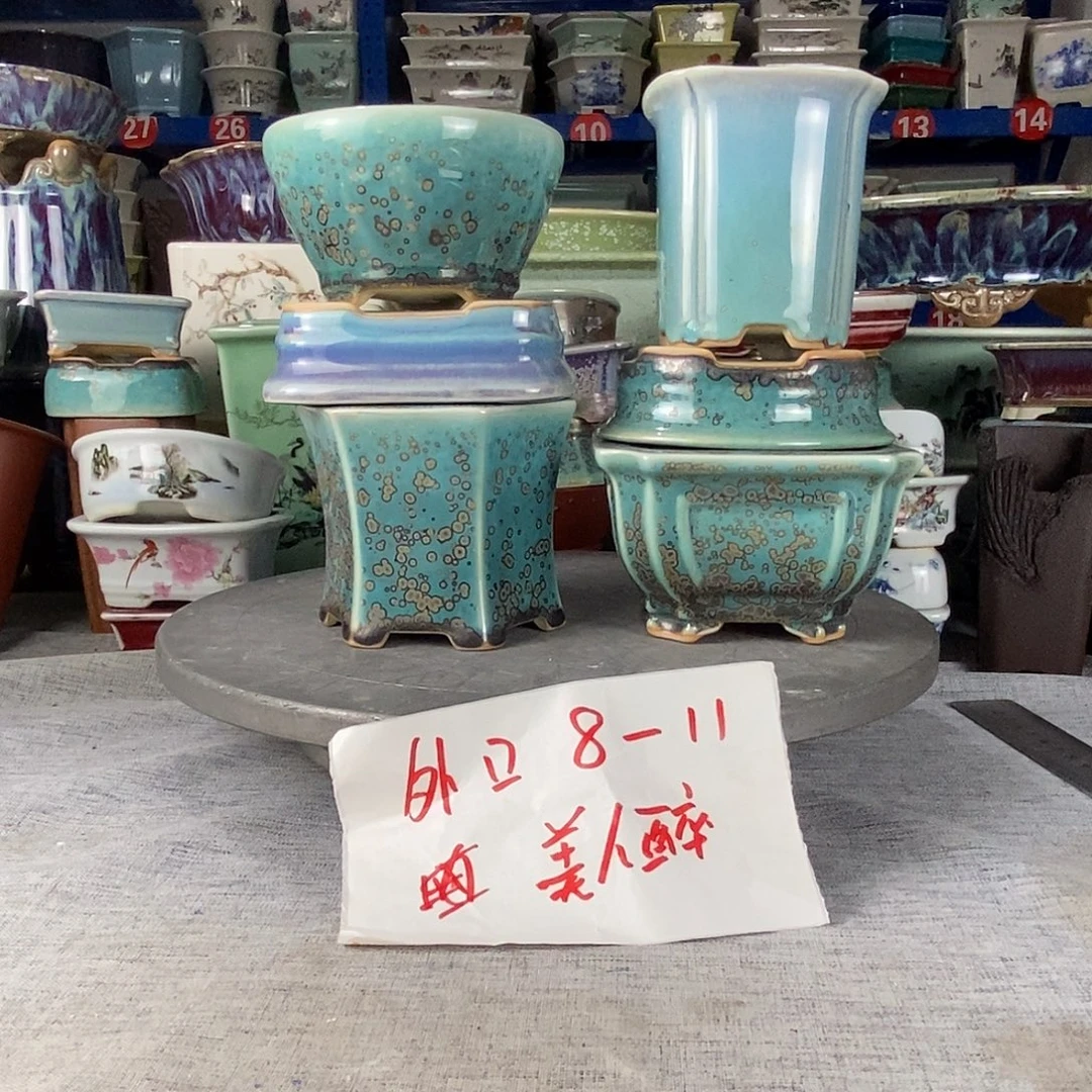 六只美人醉花盆花盆