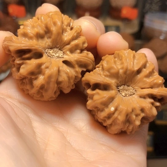 超值款：凹底龙门涧