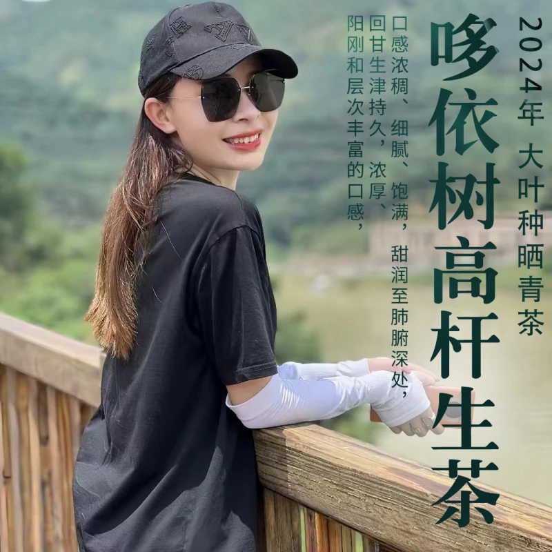 【桐微茶业】2024哆依树高杆生茶 （拍一发二共1000克）