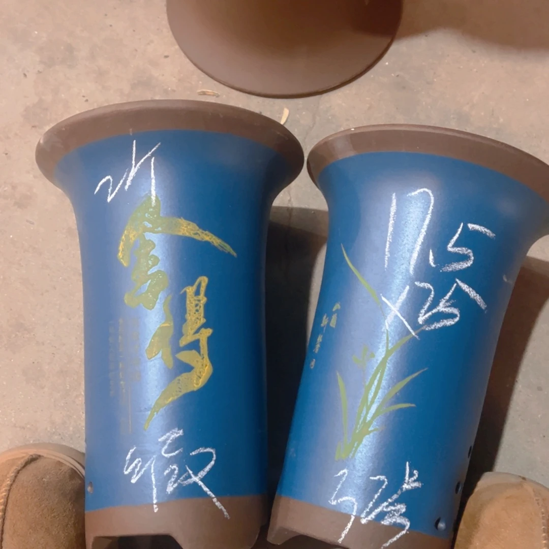 紫砂32………………………………