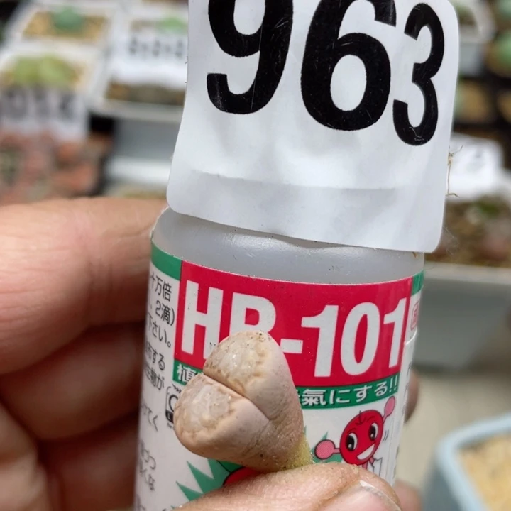101植物活力素一瓶