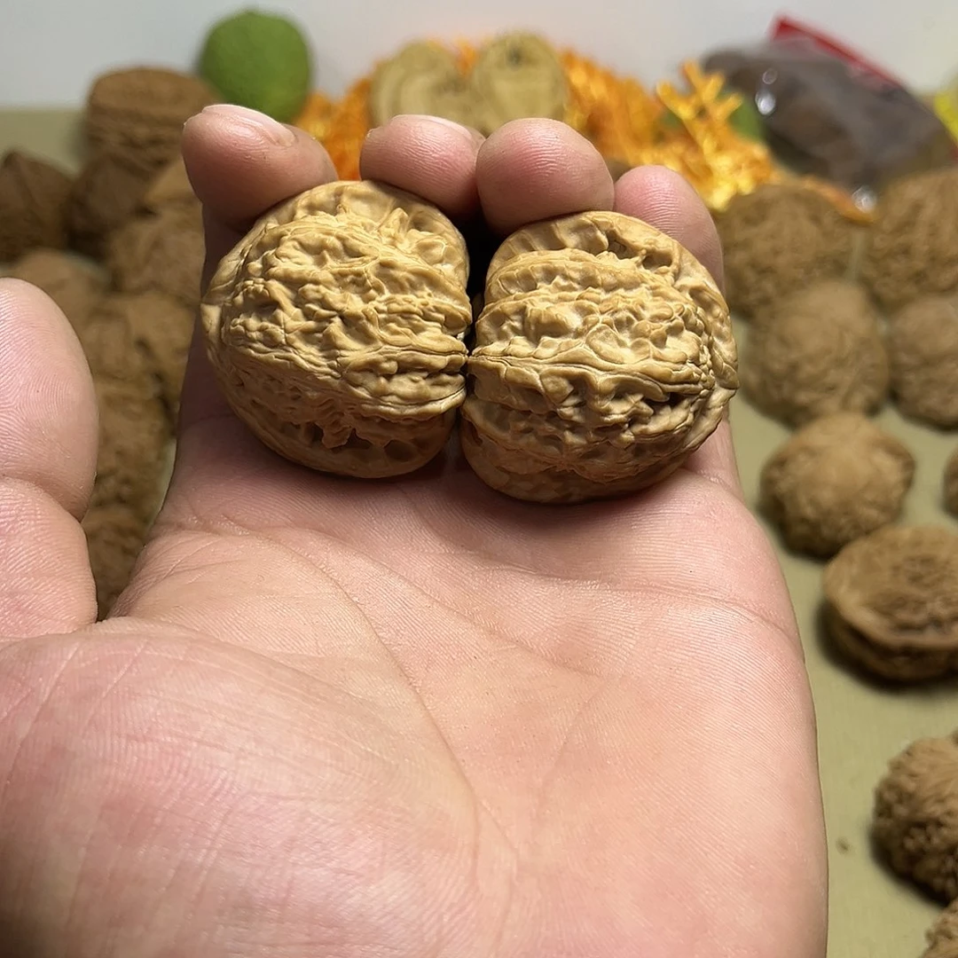 肥****奇全品▶️白狮子41尺