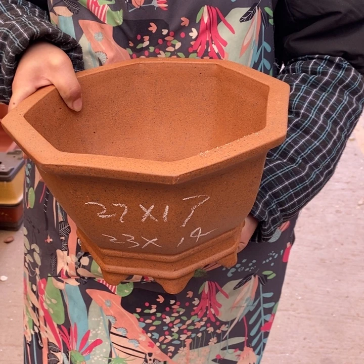 花盆紫砂只顾看书而无