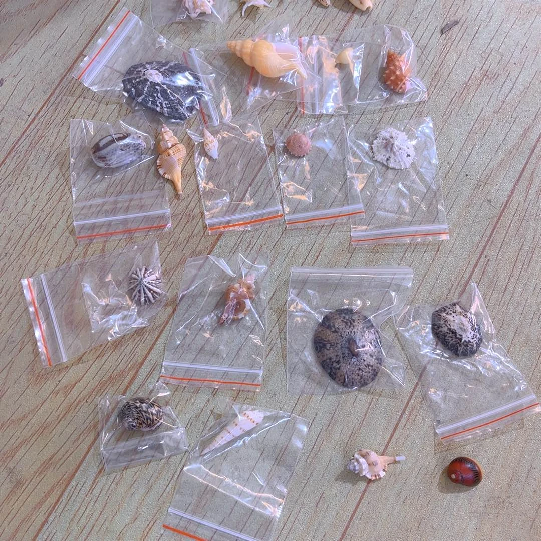 土*脑天然贝壳珍珠项链戒指
