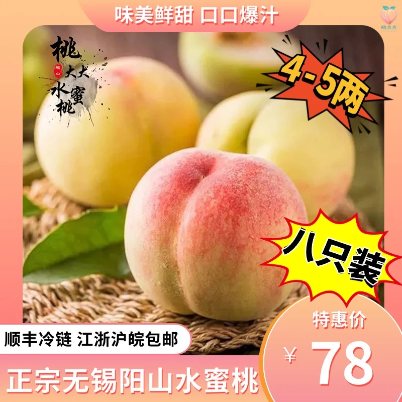 【超值福利】桃大大正宗无锡阳山水蜜桃礼盒装-湖景- 4-5两（八只装）