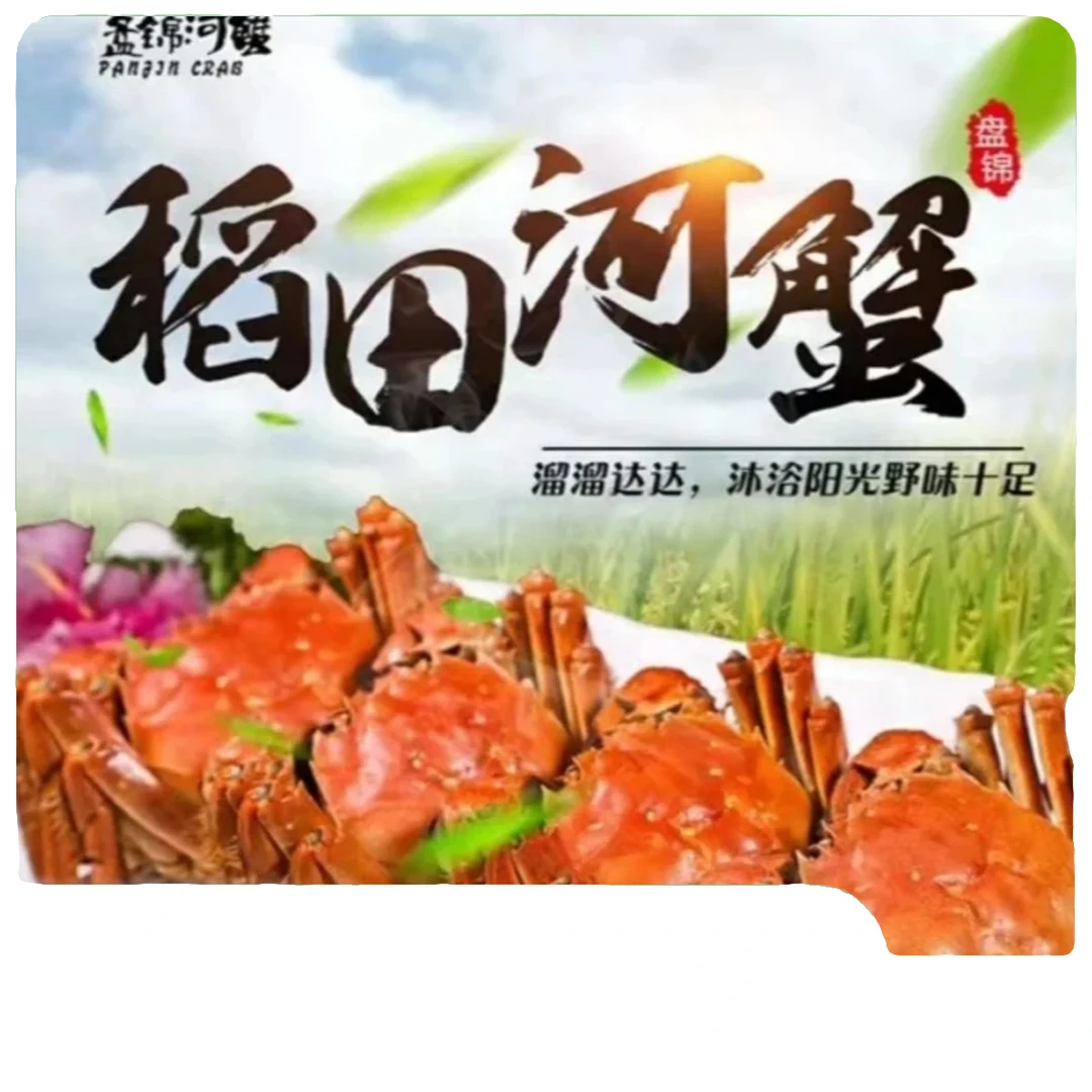 【活蟹】盘锦河蟹稻田蟹(1.3-1.6两）全母净重3斤