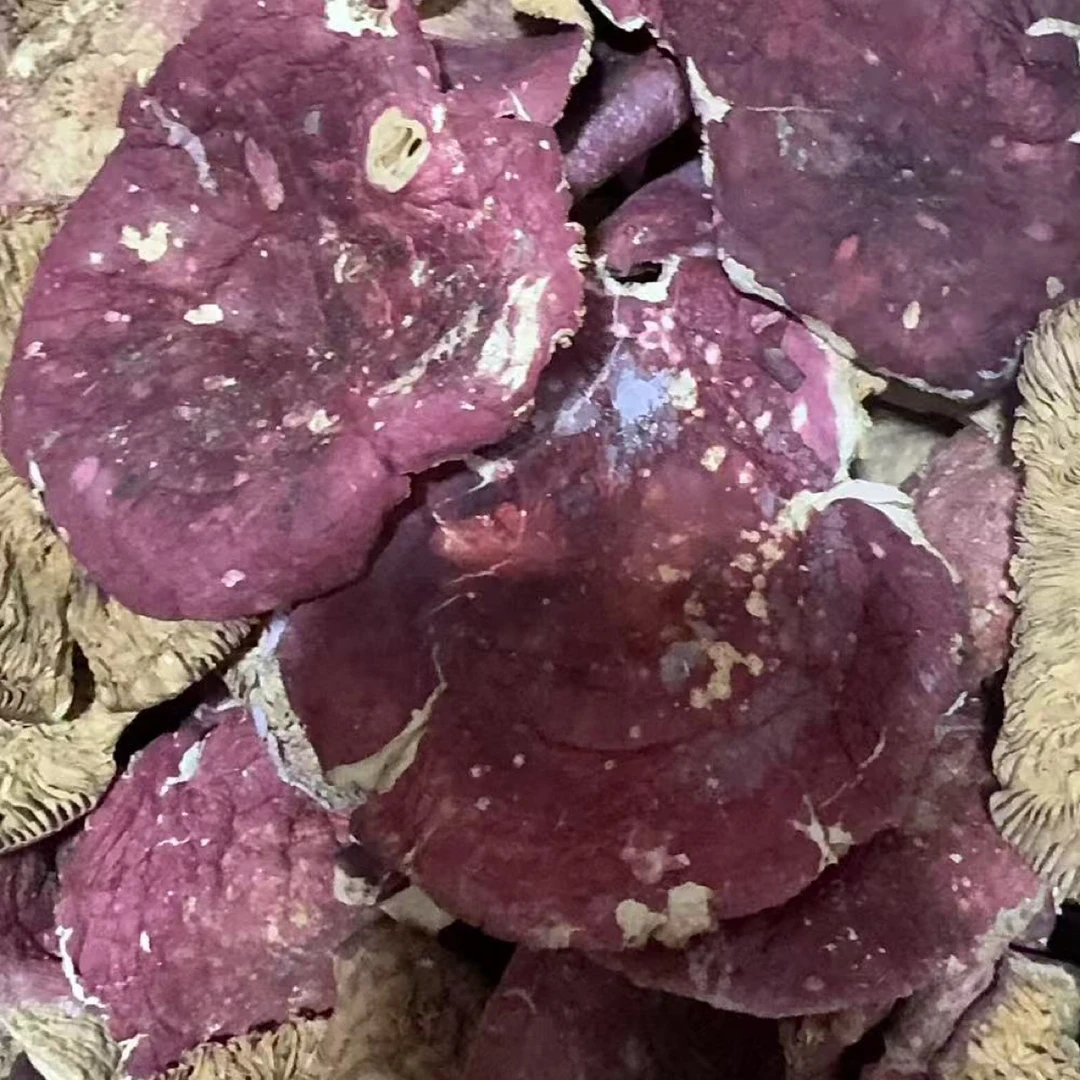 福利款河南菇菇帽(运输途中有碎片正常)野生正宗500g煲汤煮卤面