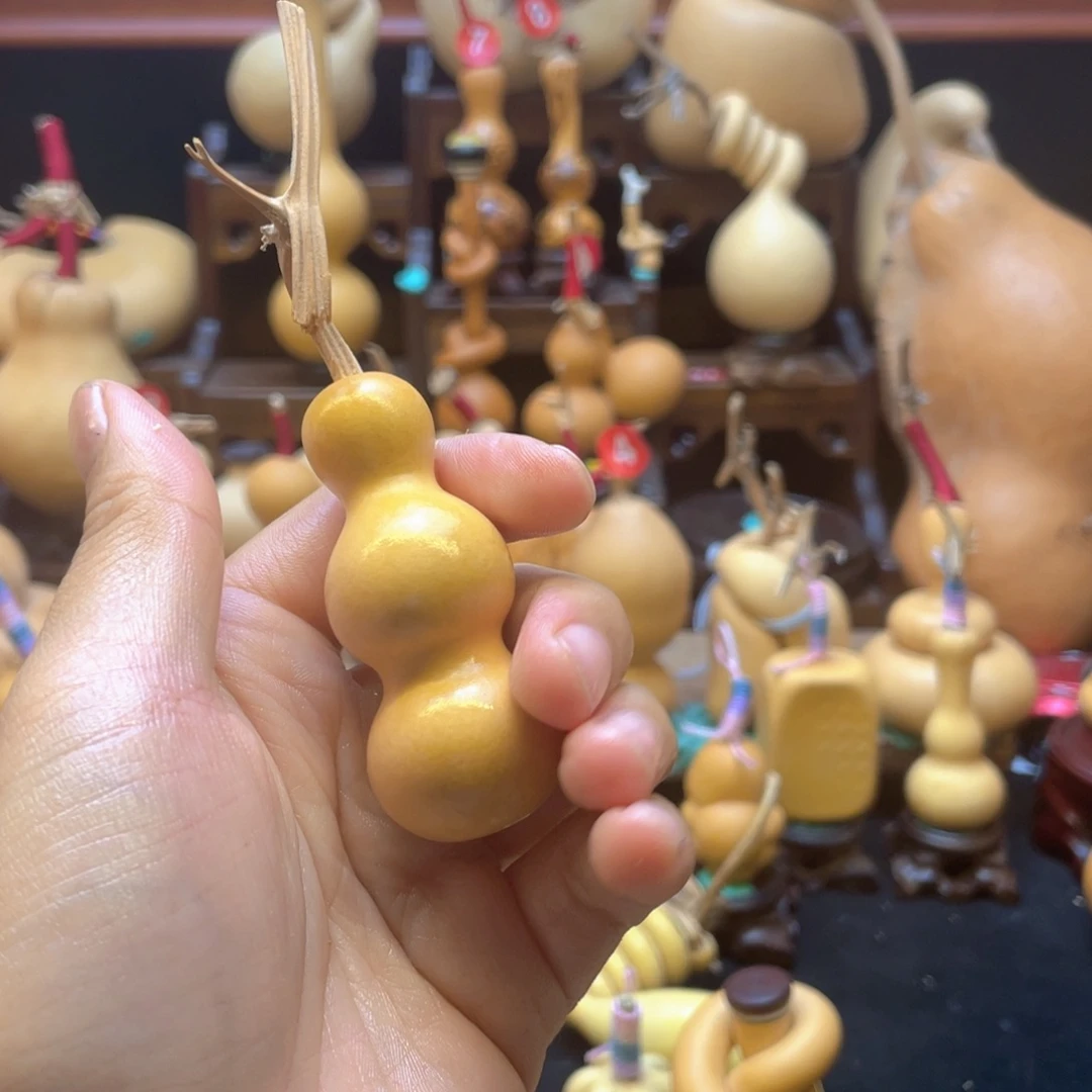 小*大自然的秘密第十一节的故事
