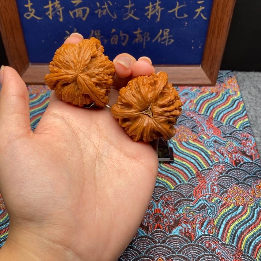 【闪购商品】我****天白狮
