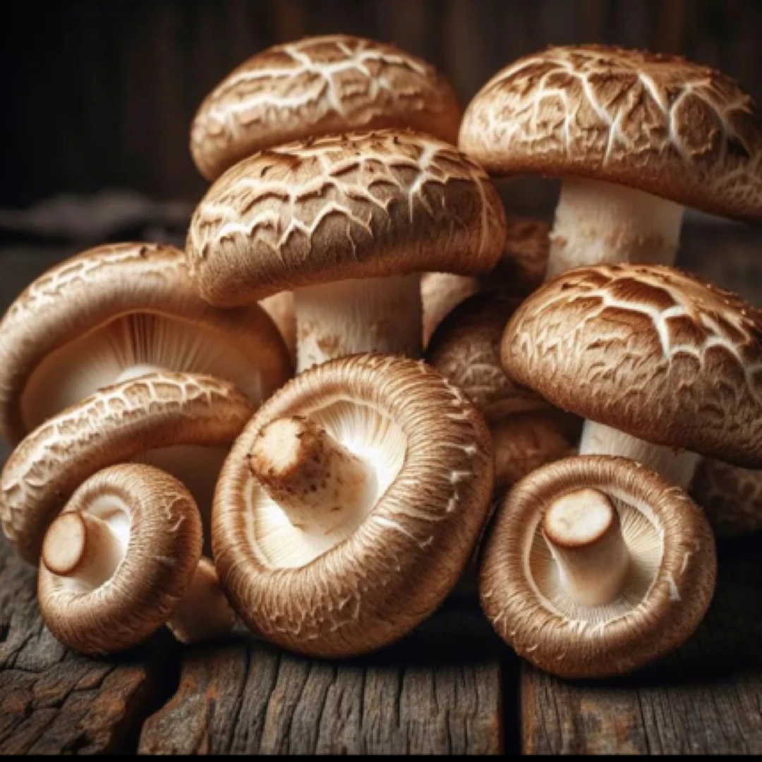 香菇新鲜采摘美味食材（仅限同城拍）