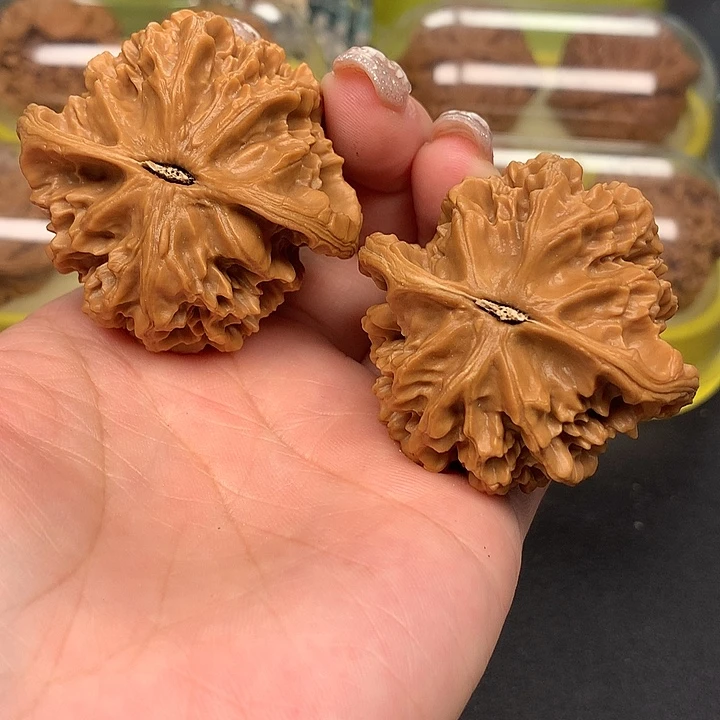 文玩核桃吊坠←****西48帝王