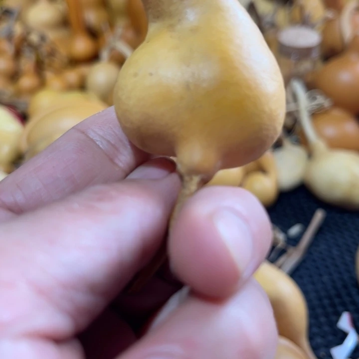萌***宝葫芦哈哈哈哈哈哈