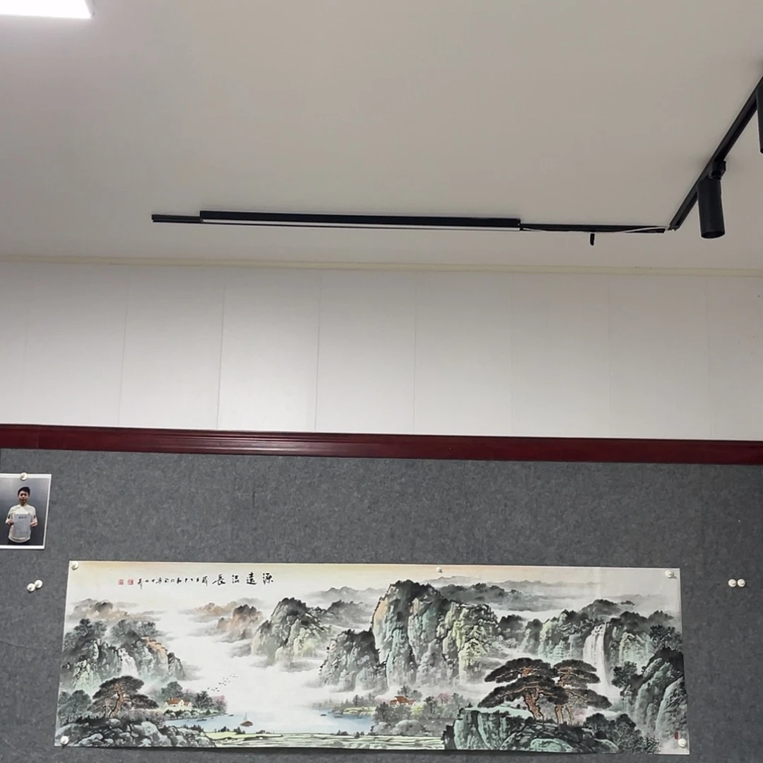 国画八尺对开238.6 画芯 捡漏