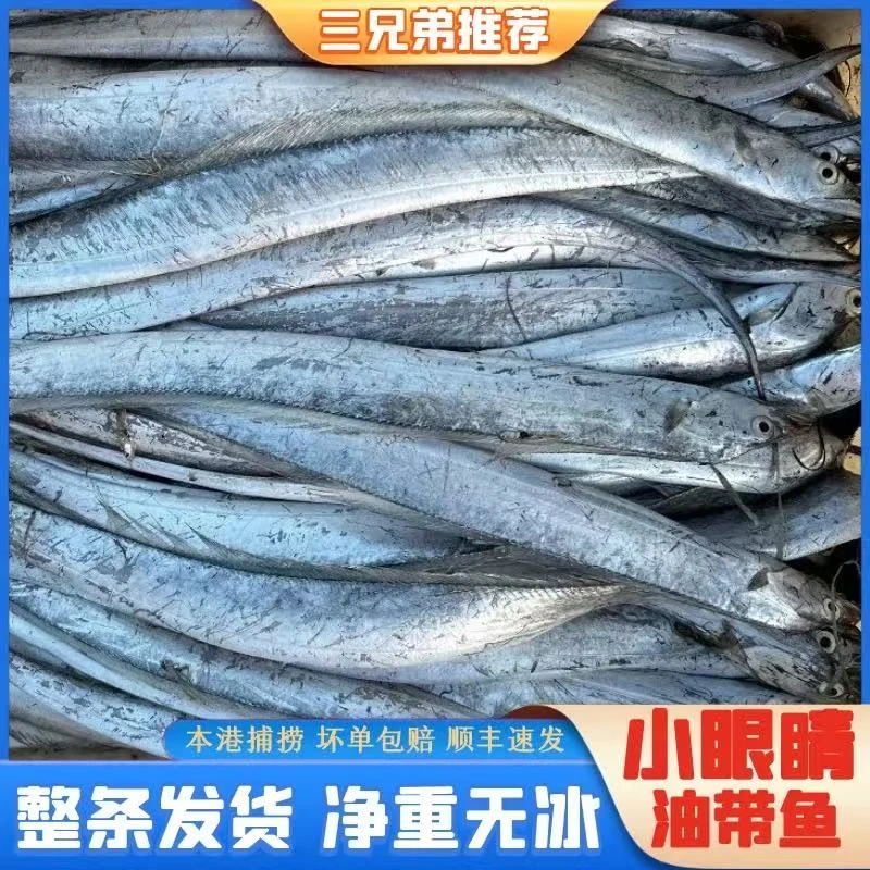 【三兄弟海鲜】野生冷水小眼睛油带鱼整条新鲜净重5斤10-11条