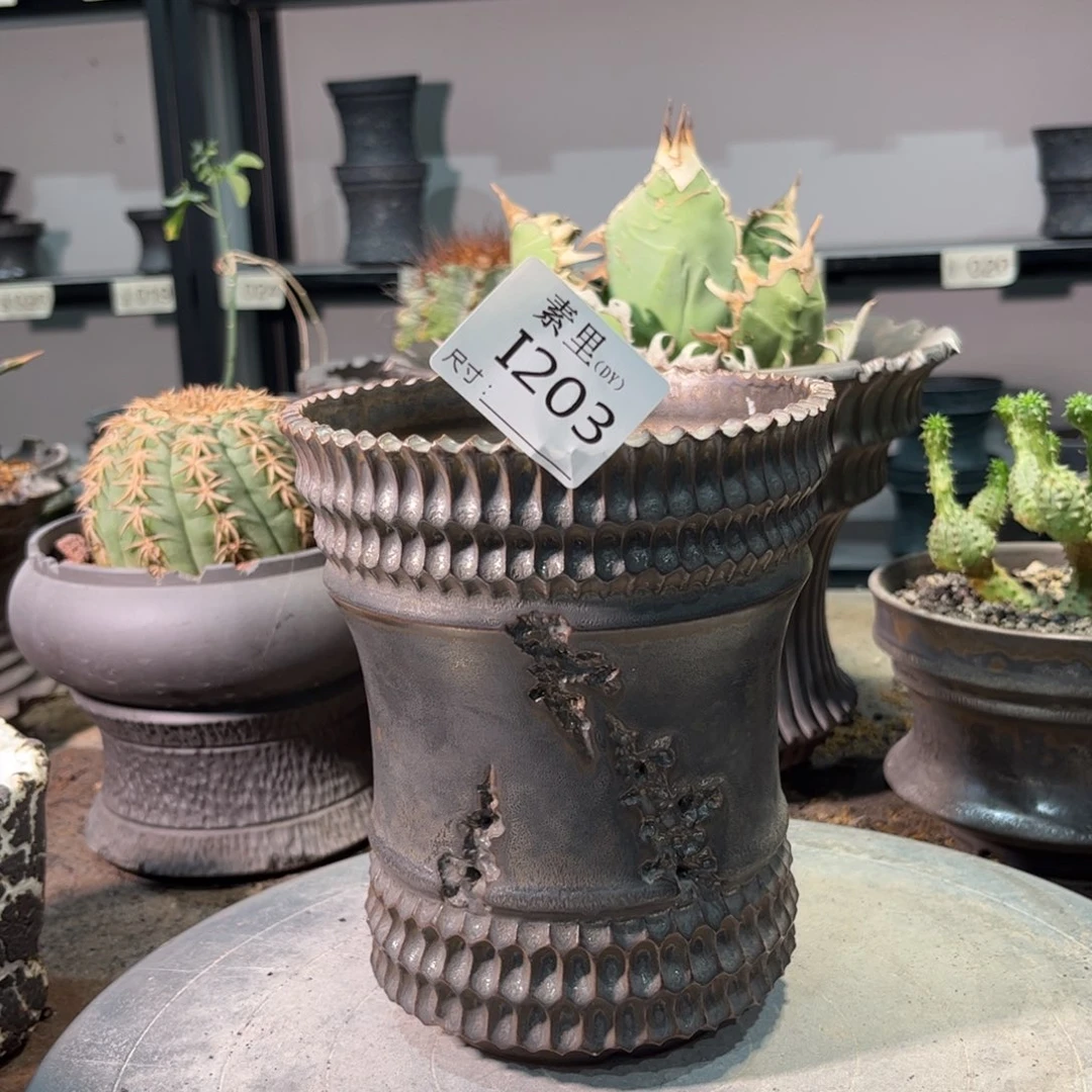 景德镇手工素里你看看12高15.5