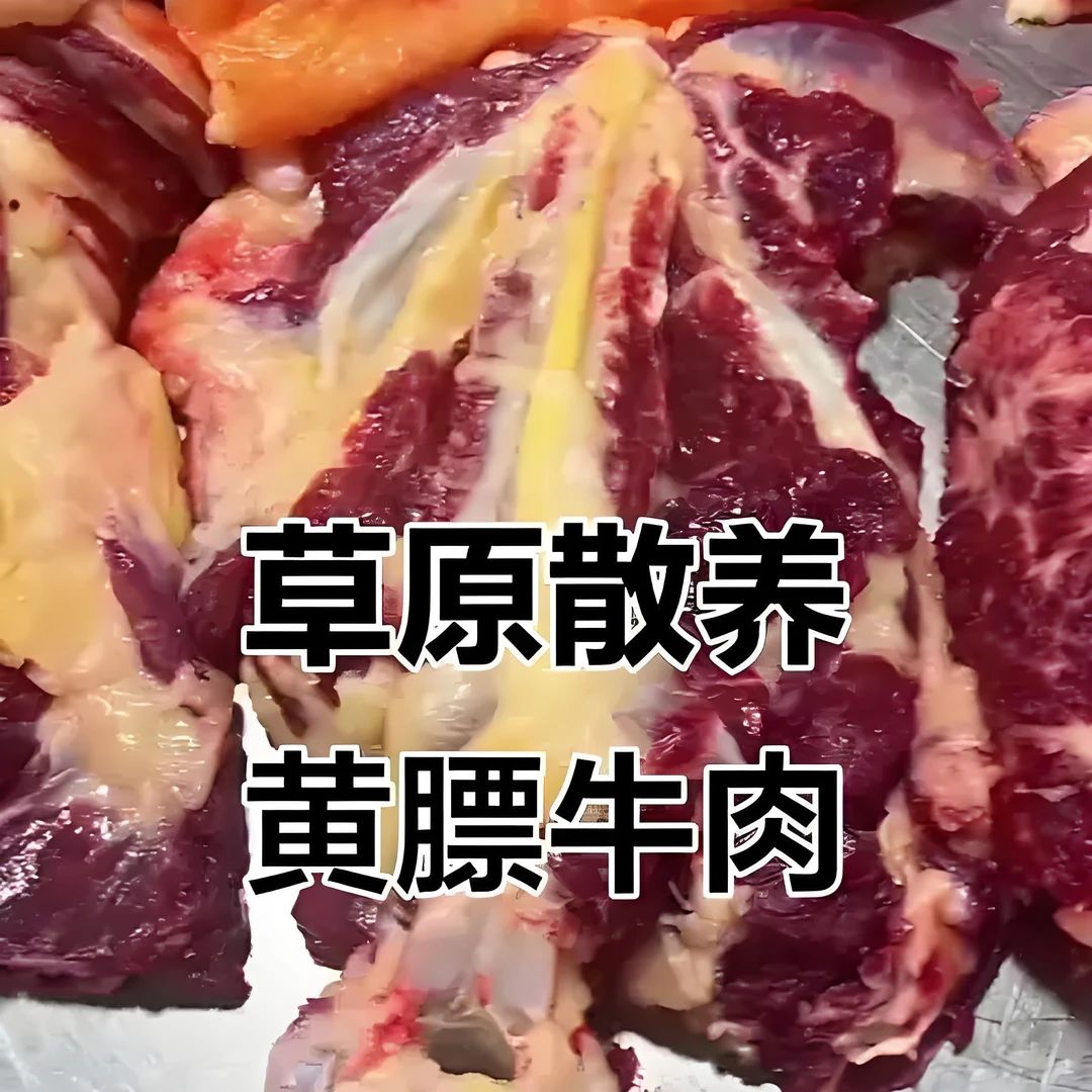 内蒙古锡林郭勒盟草原牛肉