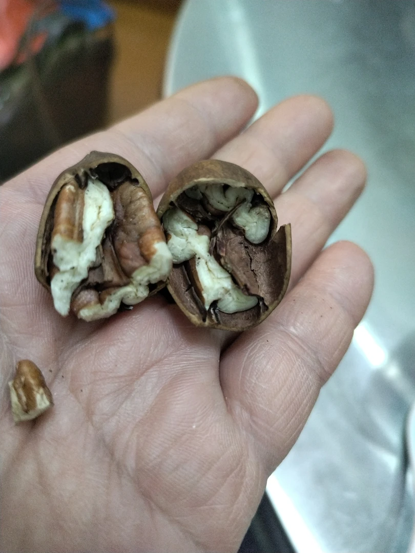 椒盐碧根果，店家亲自炒制，利用特级花椒及青海盐颗粒达到祛湿作用