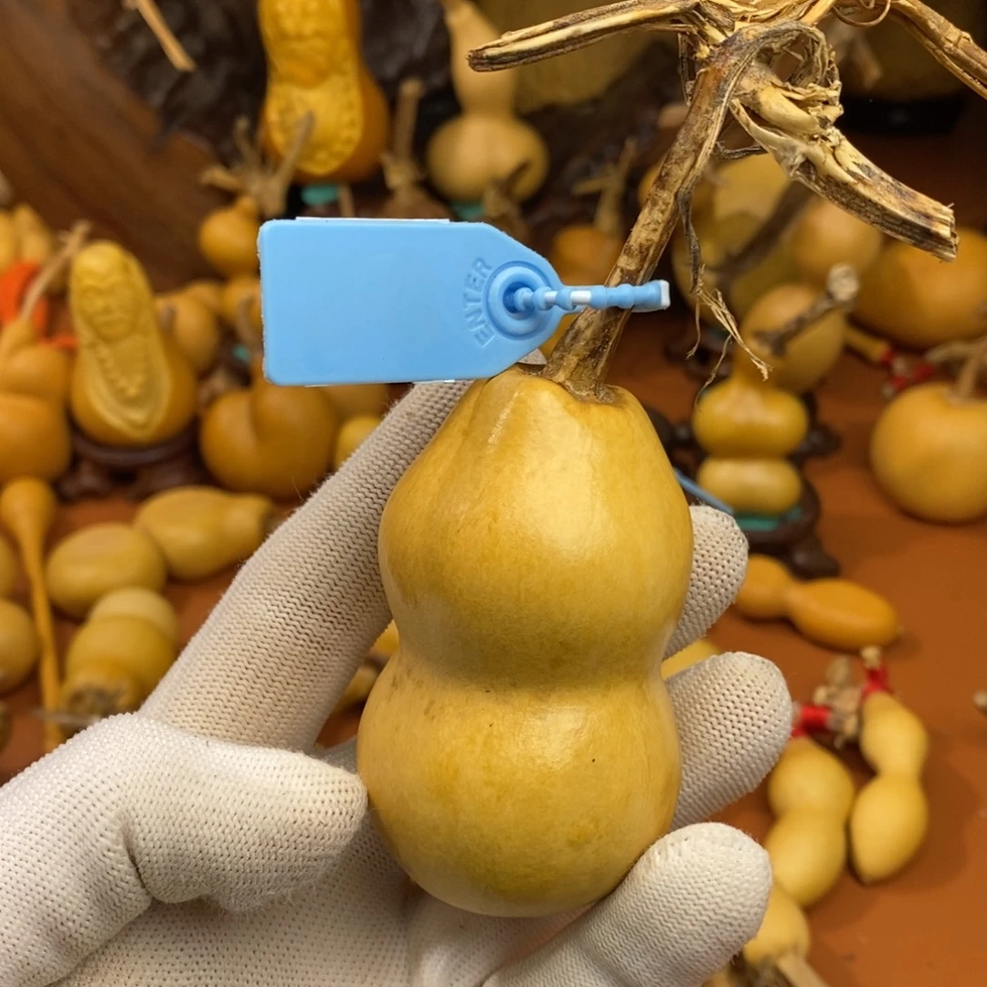 用***8教练咯教练咯教练咯