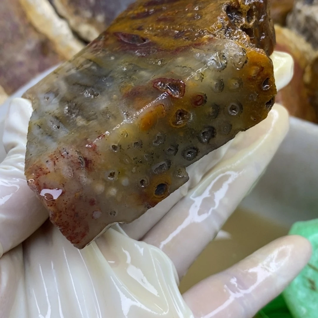【闪购商品】硅化玉珊瑚玉未镶嵌