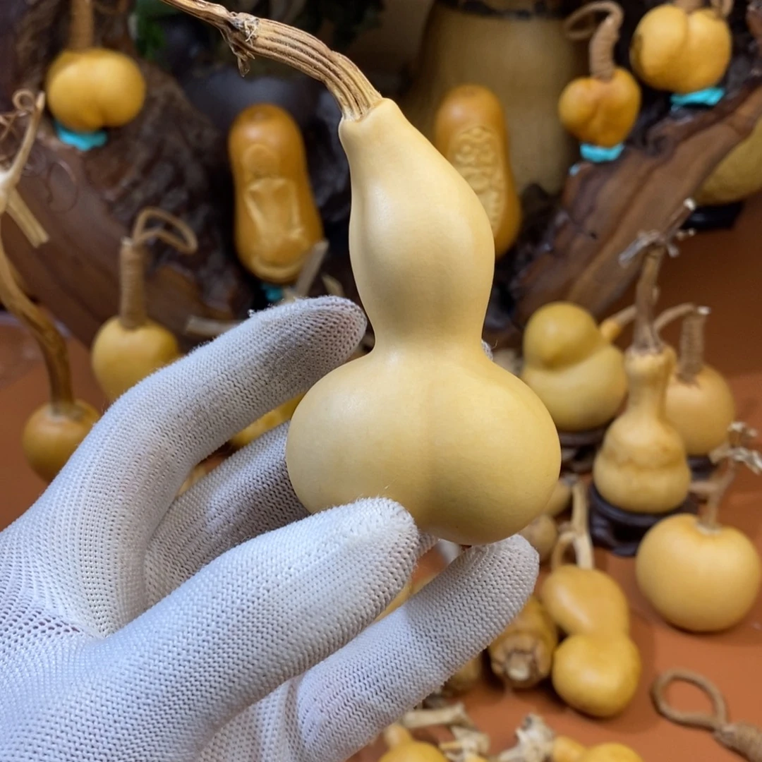 海***城教练咯教练咯教练咯