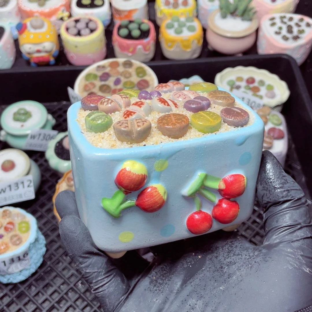 w1317--带盆土发货，零下地区拍保温箱