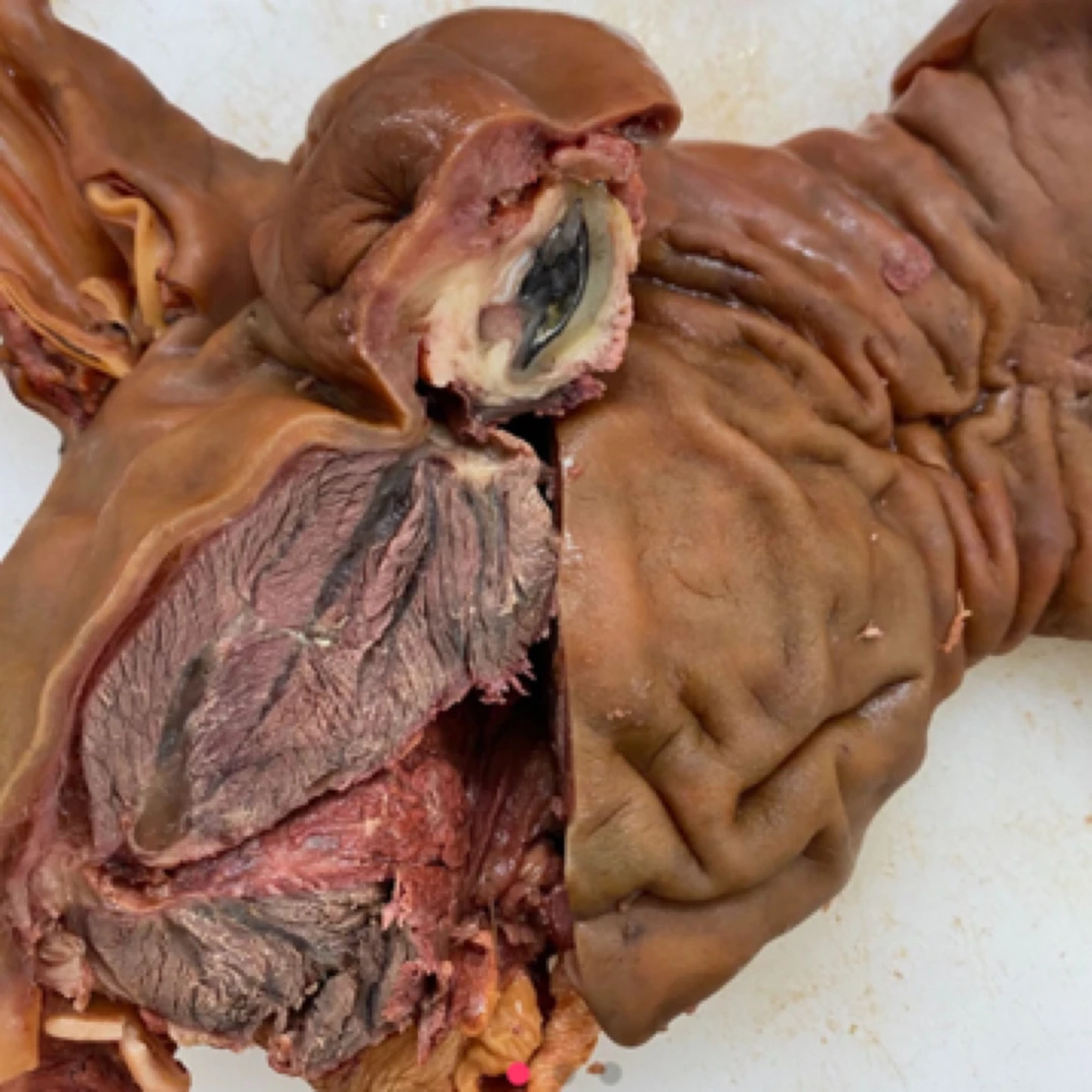 马头肉（3斤熟食）