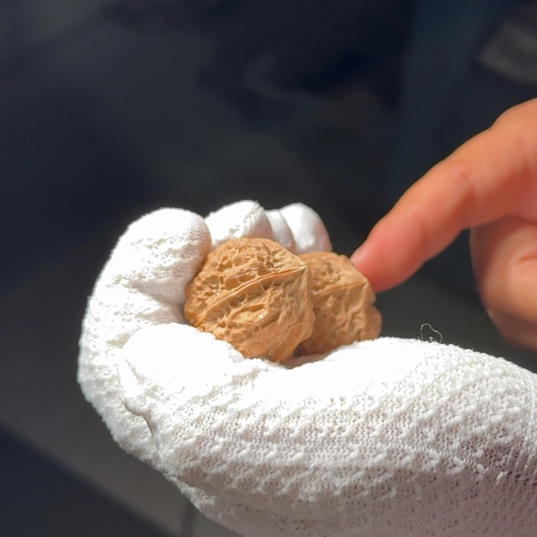 文玩核桃把件铁1蛤蟆四棱36mm