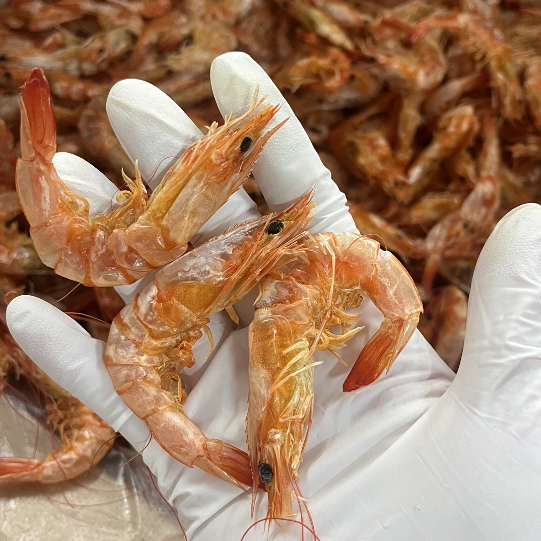 汕尾港本地中大直虾干即食虾干零食