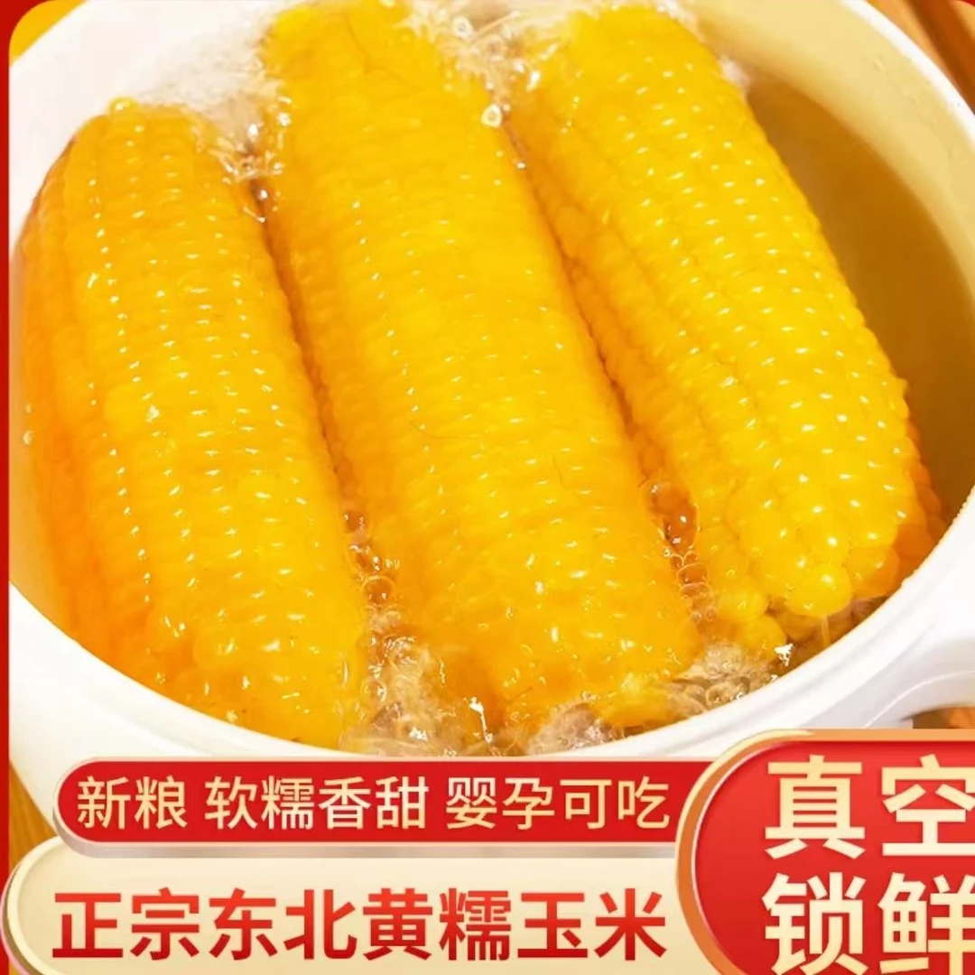 黄糯玉米东北黏苞米（试吃两根）12根每根180g-240g新鲜甜玉米棒